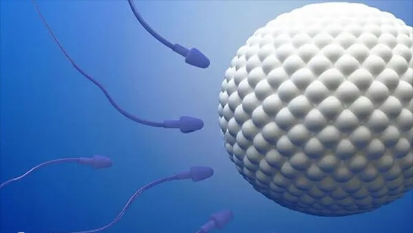 男性不育检查项目多