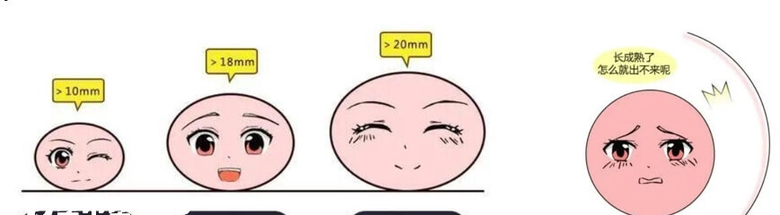 卵泡黄素化后不会排卵