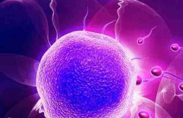 ppos方案促排可以取得高质量卵子