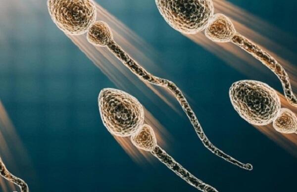 输精管缺如是一种梗阻性无精子症