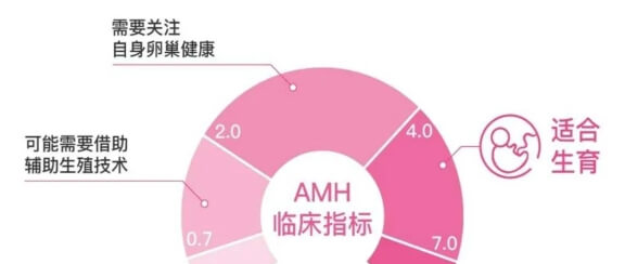 抗缪勒氏管激素AMH与生育的关系