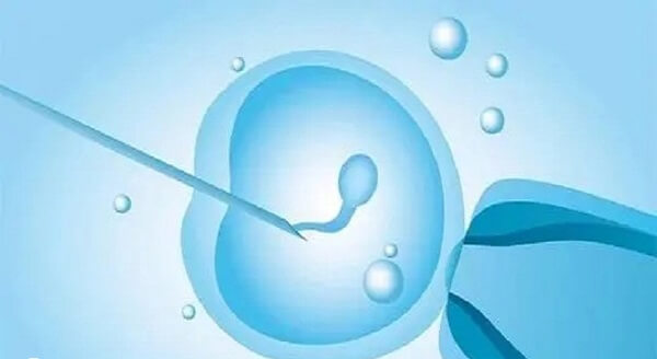 1根精子能做二代试管婴儿