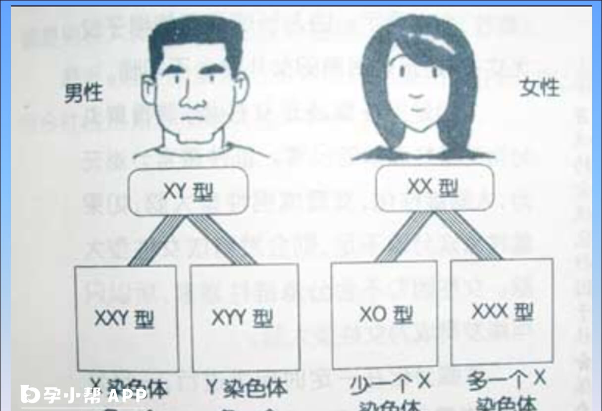 自闭症的遗传模式较为复杂