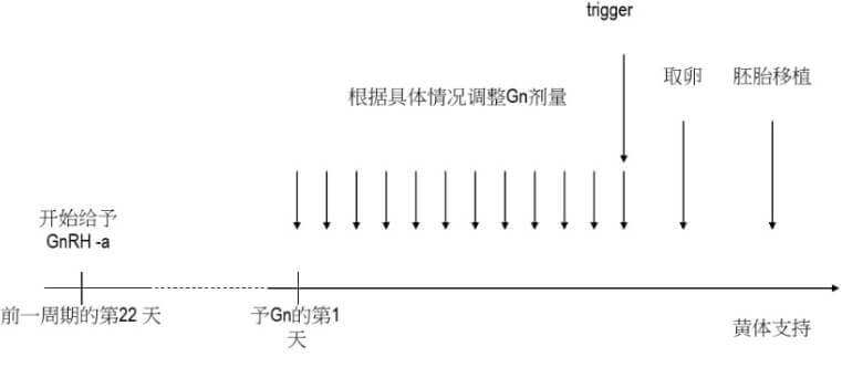 长方案流程图