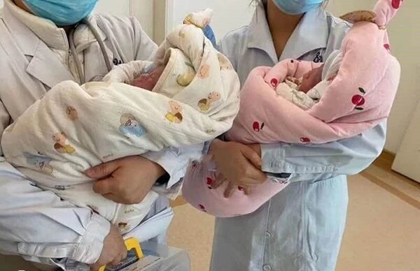 试管婴儿双胞胎概率高