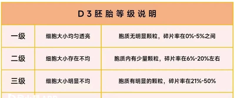 胚胎等级说明