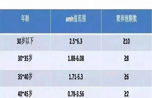卵巢是每一个女性的重要生殖基础