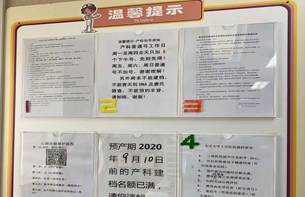 试管婴儿怀孕后建档很重要