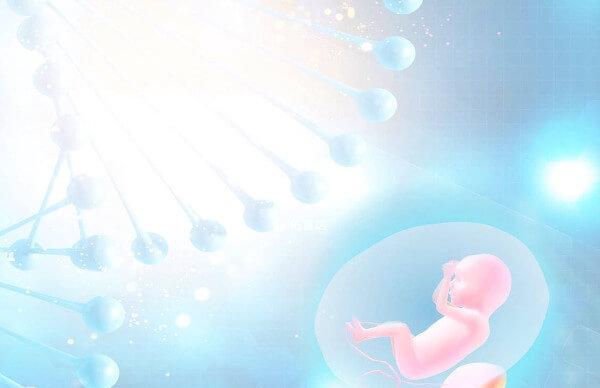 目前在国内可以做三代试管婴儿的生殖中心有很多