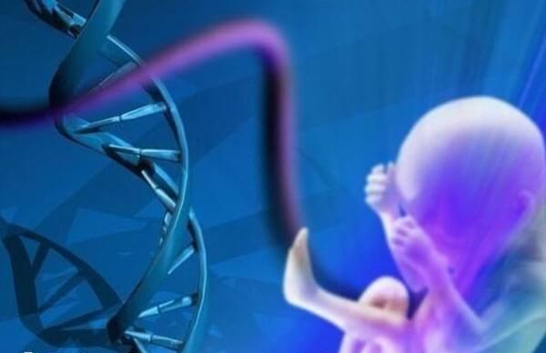 卵子质量是影响试管婴儿成功率的关键因素之一