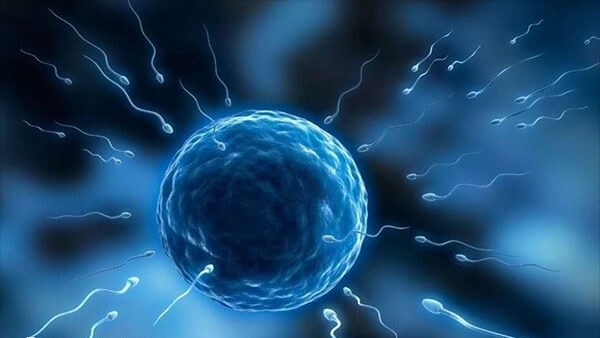 拮抗剂方案是一种有效的辅助生育技术