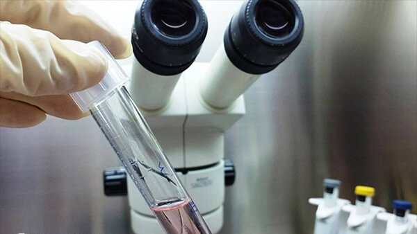 试管移植后排尿不影响IVF-ET妊娠率