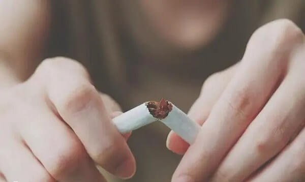 卵子的质量受环境影响