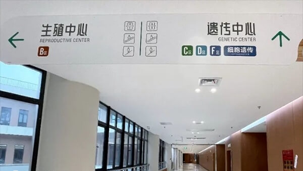 35岁以下的年轻夫妇做试管成功率高