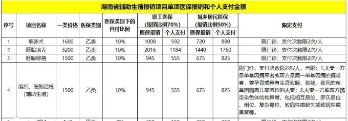 湖南试管婴儿报销政策