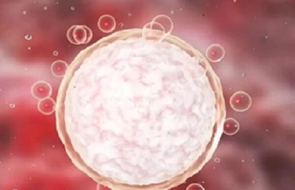 促排第四天卵泡大小为3mm属于正常现象