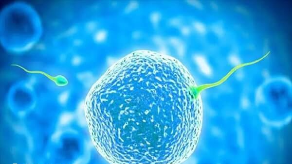 盛海琳女士与孩子生活幸福