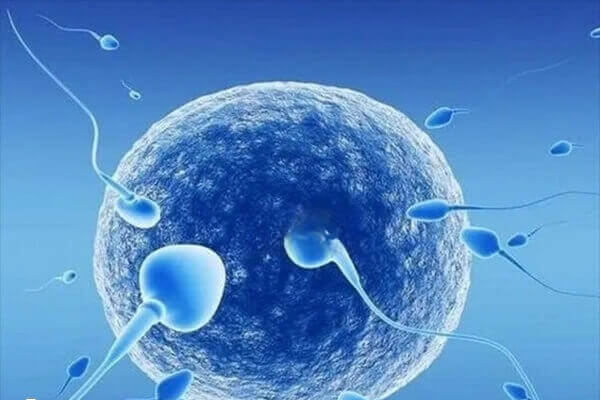 男性做人工授精有检查的必要