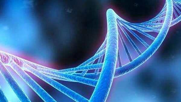 6号染色体上的基因与多种重要疾病密切相关