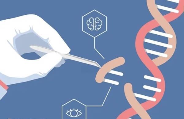 地贫基因携带者建议做三代试管婴儿
