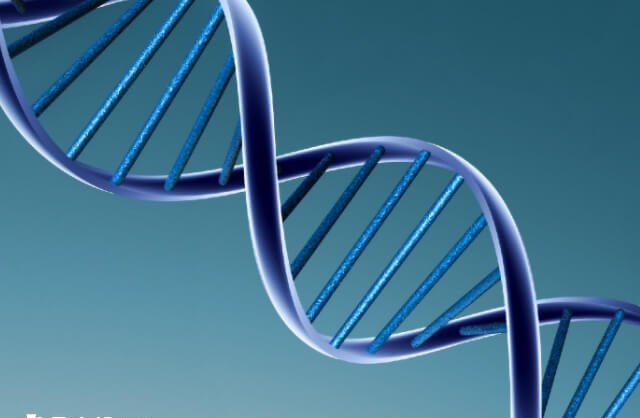 地贫会遗传给下一代