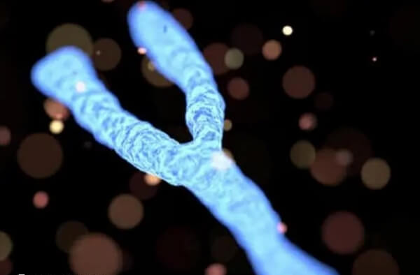 y染色体azfc缺失就是一种染色体异常的问题