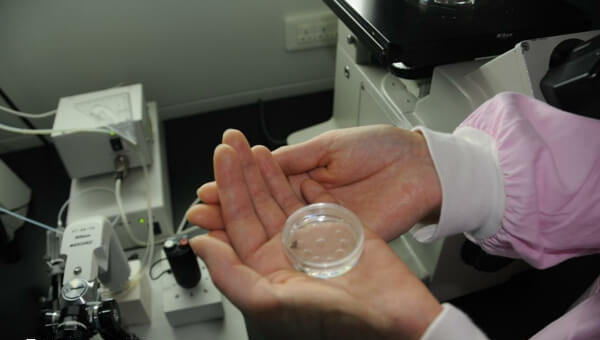 HIV洗精有一定条件