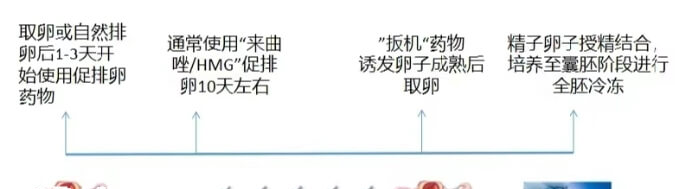 黄体期方案促排流程