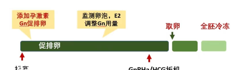 PPOS方案流程