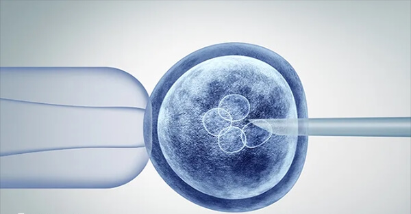 卵子透明带缺失建议做二代试管婴儿