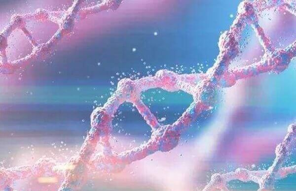 常染色体隐性遗传的夫妇是可以生孩子的