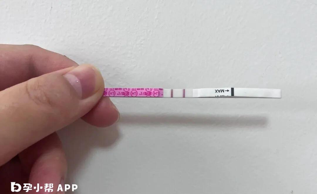 排卵试纸可以检测排卵