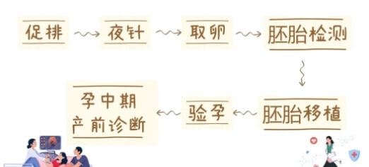 三代试管婴儿PGT治疗过程