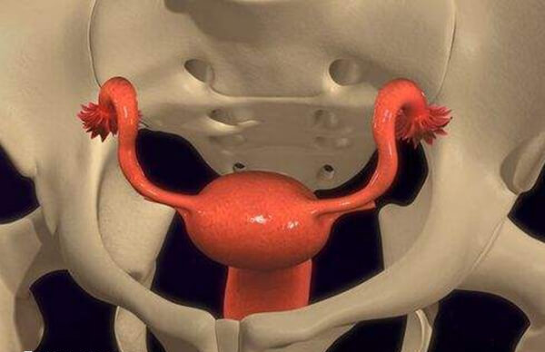 单角子宫的宫腔容积较小