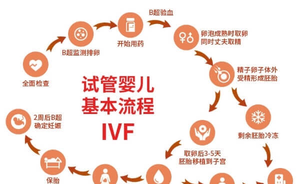 做试管主要分为六步