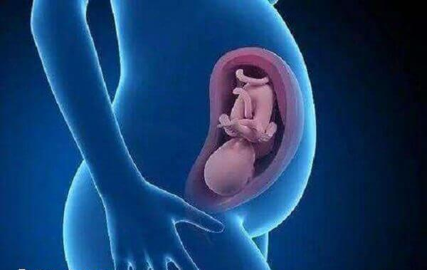 自然怀孕和做试管婴儿各有优缺点
