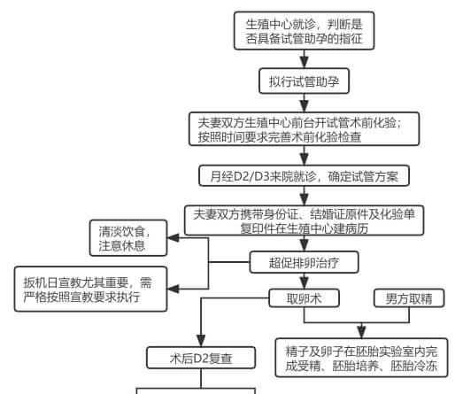 试管婴儿助孕流程图