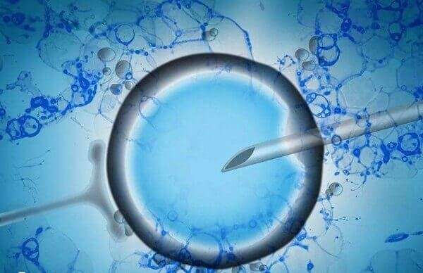 卵子冷冻全称为卵子冷冻技术