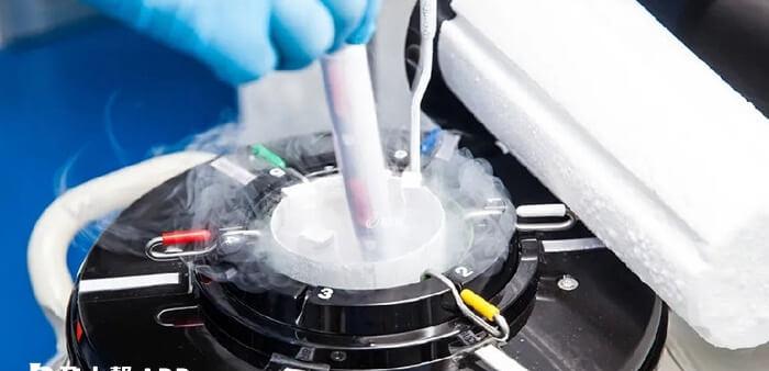 三代试管采取冻胚移植