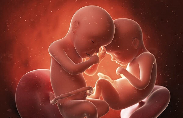 35岁以上妊娠的女性称之为高龄产妇