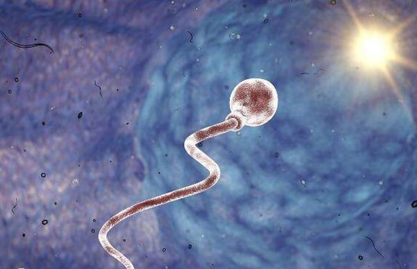 人工授精第个月经周期能进行3次