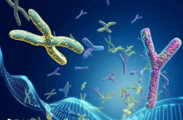 精子DNA的完整性受损可能是冷冻造成的