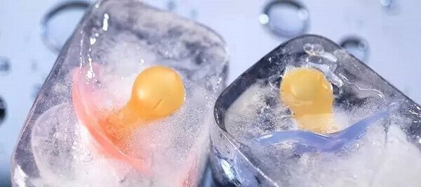 冷冻胚胎