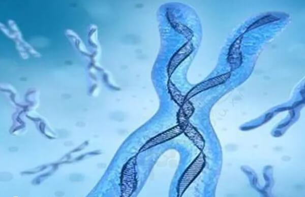 红斑狼疮做试管婴儿的成功几率因人而异