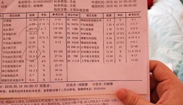 地中海贫血检查报告单