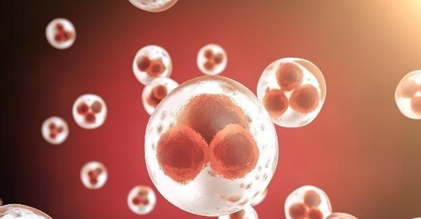 卵泡18mm以上就成熟了