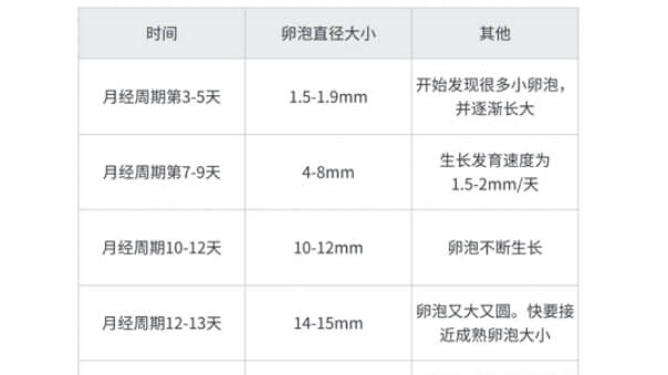 看卵泡大小看卵泡成熟度，卵泡发育到18-25mm左右，就属于一个成熟卵泡了，这时排出受孕几率会很高，如果很小就排了，这个卵子质量往往不太好。