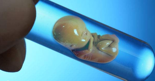 试管移植失败后需要一个恢复期