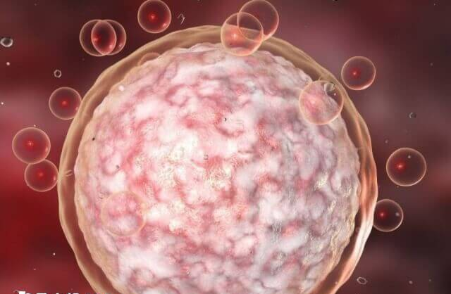 每个成熟卵泡分泌200到300pg/ml雌二醇