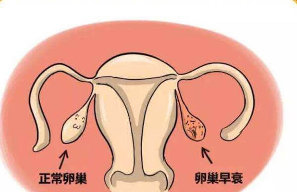 amh0.36是卵巢早衰